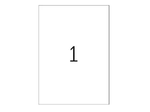 Xerox Multi-use Labels wit permanent 210x297mm 003R97400 100 stuks