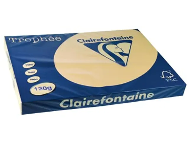 Kopieerpapier Trophee A3 120 Gram Chamois