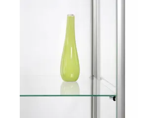 Glazen Vitrinekast Dubbele Deur 80x40x200cm - 4