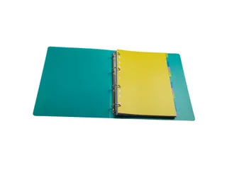 Tabbladen PP FOREVER YOUNG A4 12 tabs - 8