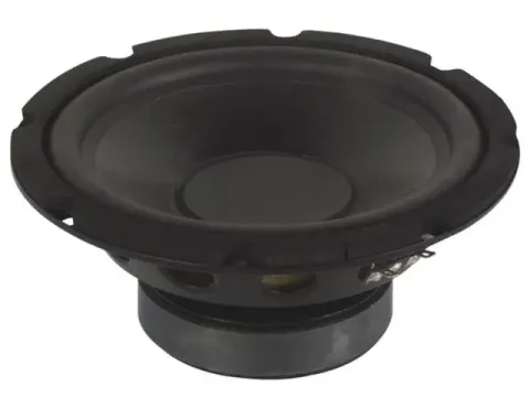 OUTLET Zwarte Subwoofer Voor Luidspreker 10 Inch 350w