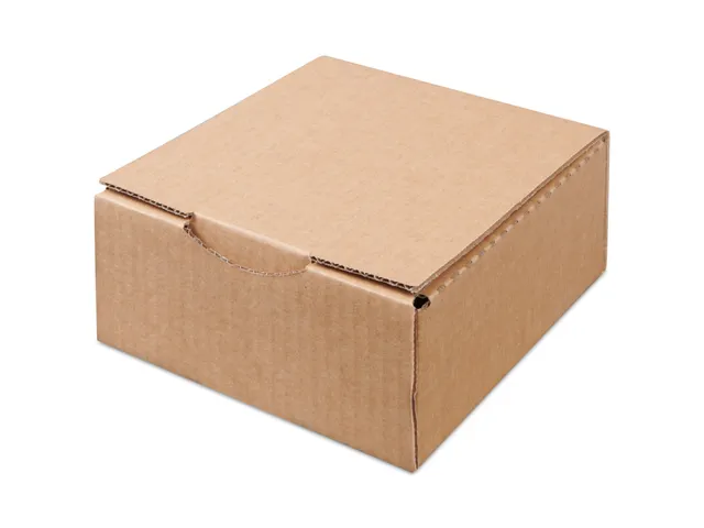 Verzenddoos Postdoos 120x100x80mm Bruin Pak a 50 Stuks