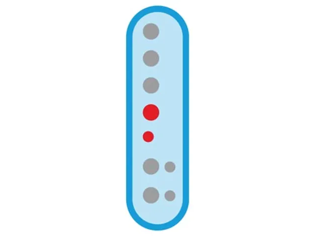 Plastic Blokfluit Moderne Vingerzetting