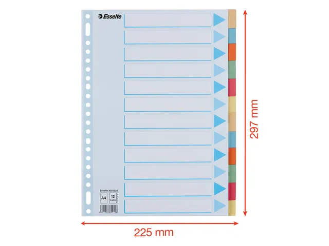 Tabbladen Esselte Premium A4 12-delig karton 23-rings assorti