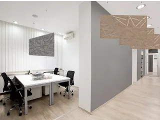 Akoestisch plafondpaneel met patroon uitsnede 60x120cm Zwart - 4