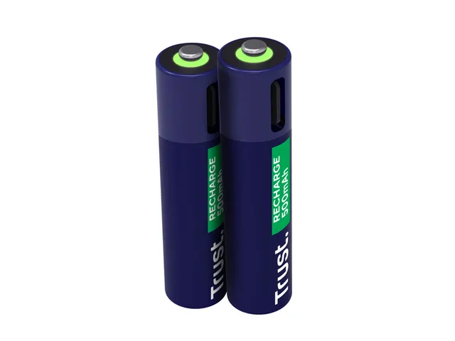 Batterij Trust USB-C oplaadbaar AAA 2 stuks