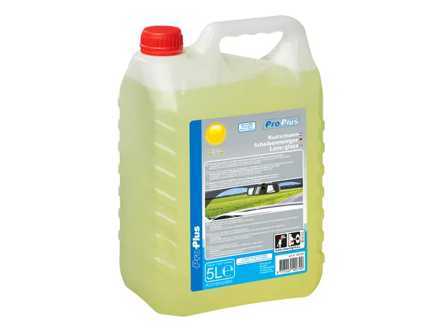Ruitenvloeistof ProPlus zomer kant en klaar 5 Liter