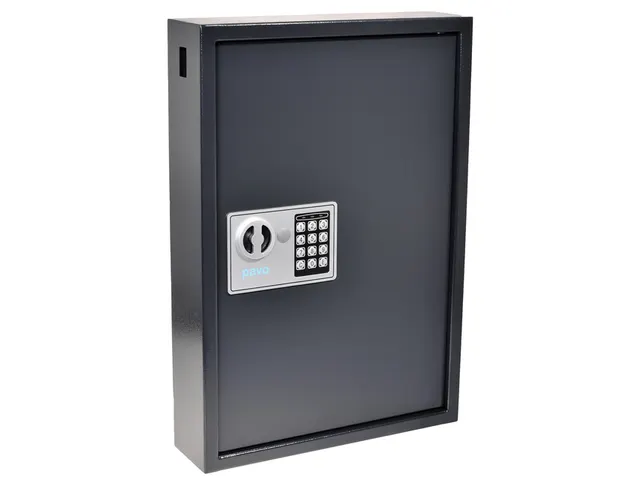 Sleutelkast Pavo high security 50 haken 550x400x100mm elektronisch