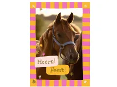 Wenskaart Hallmark uitnodiging paarden pak à 6 stuks