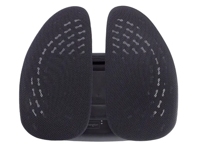 Rugsteun Kensington smartfit zwart