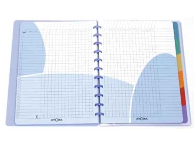 Atoma Lerarenagenda 236X307 Mm