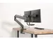 Newstar Monitorarm 2 Schermen Zwart Met Hendel D775dxblack