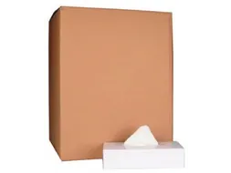 Papieren zakdoek 2-laags wit 100 tissues per doos, pak à 40 stuks