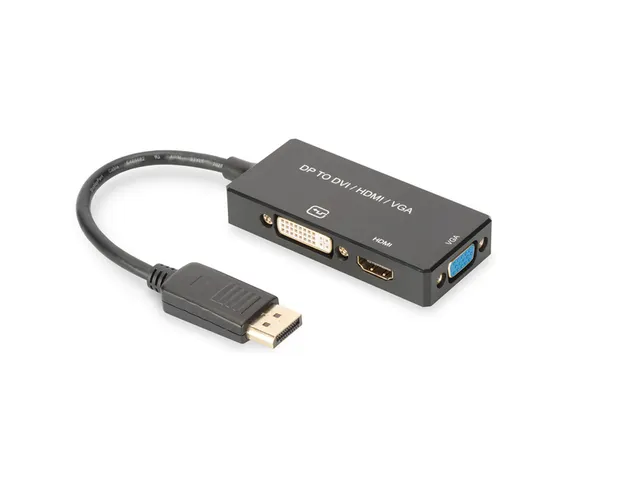 DisplayPort 3in1 adapter / converter Zwart