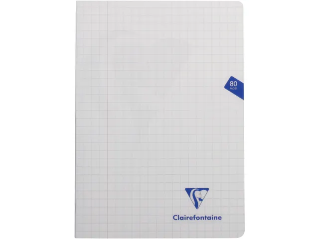 Schrift Pp A4 80Blz ruit 10mm Assorti