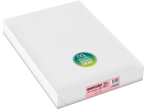 Evercolor gekleurd Gerecycleerd Papier A3 Roze 80 Gram