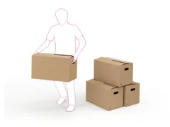 Verhuisdoos Bc Dubbele Golf 492x306x360mm Bruin