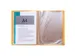 Protège -documents en PP recyclé semi-rigide Pop'N Co - 40 vues - Co