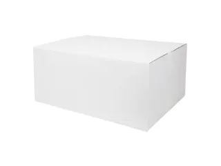 Z-vouw handdoek P50791 naturel 1-Laags 23x25cm 5000 Stuks - 2