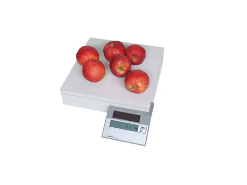 Pakketweger MAUL Parcel S 30x30cm solar 50kg