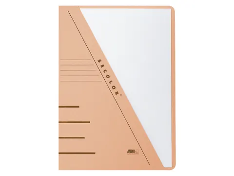 Insteekmap Djois Secolor A4 recycled 250gr chamois
