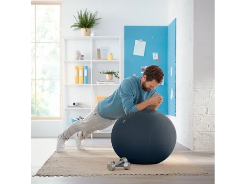Actieve zitbal Leitz Ergo Cosy grijs