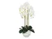 Kunstplant Mica Phalaenopsis in pot wit 40x34x82cm