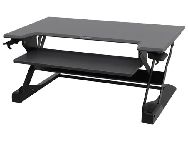 Werkstation Zit-Sta Bureau Converter Workfit Tl Zwart