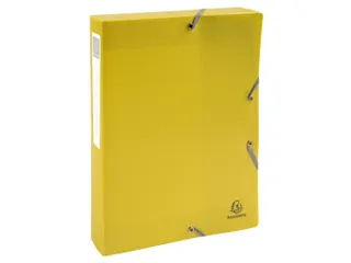 Klasseerdoos rug 40m m PP Forever Young - 1