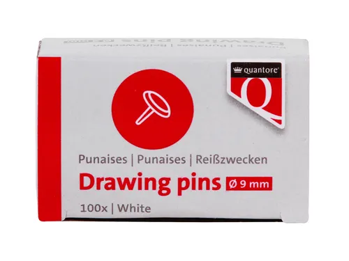 Punaises Quantore 100 stuks zilver