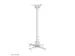 Support de plafond pour vidéoprojecteur Neomounts CL25-550WH1 blanc