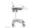 Neomounts MED-M200 Medisch mobiel werkstation - 10-17 inch - max 5 kg