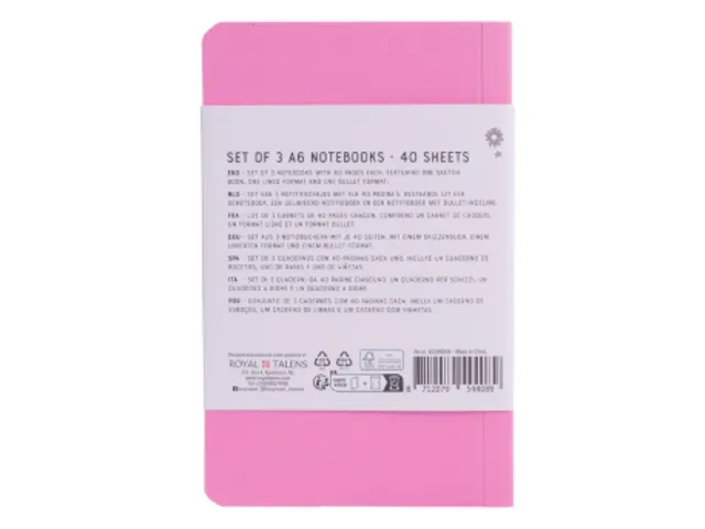 Notitieboek Bruynzeel A6 40vel glitter assorti set van 3 stuks