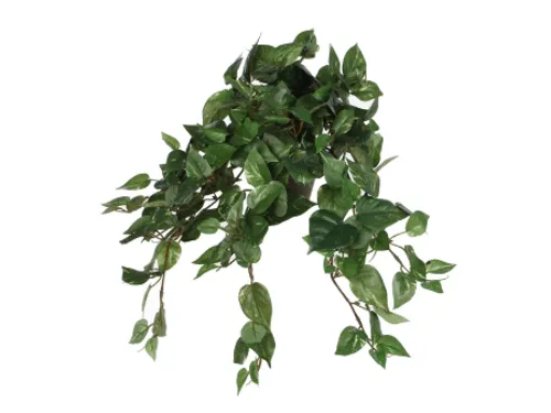Kunstplant Mica Scindapsus hangend groen 45x25cm
