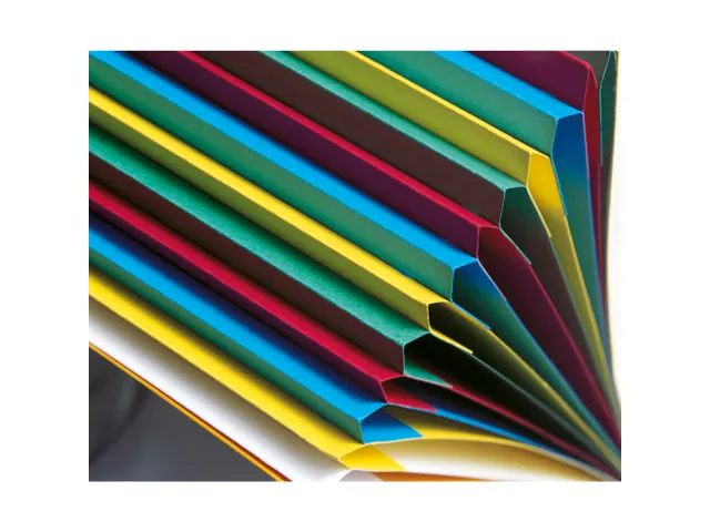 Sorteermap Harmonika vensters 6 vak ass