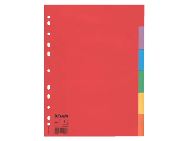 Tabbladen Esselte A4 11-gaats Karton 6-delig Blanco Tabs Kleur