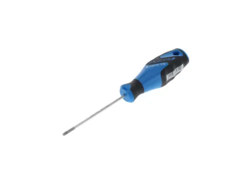 2163 Schroevendraaier TX T10 3C