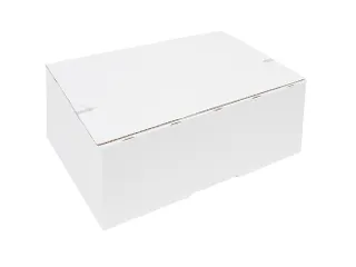 Postpakketbox IEZZY 2 200x140x80mm wit - 1