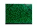 Tekenmap Annonay ela stiek 26x33cm groen