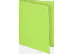 100 Dossiermappen FLASH 220 100% Gerecycleerd 24x32cm Linden