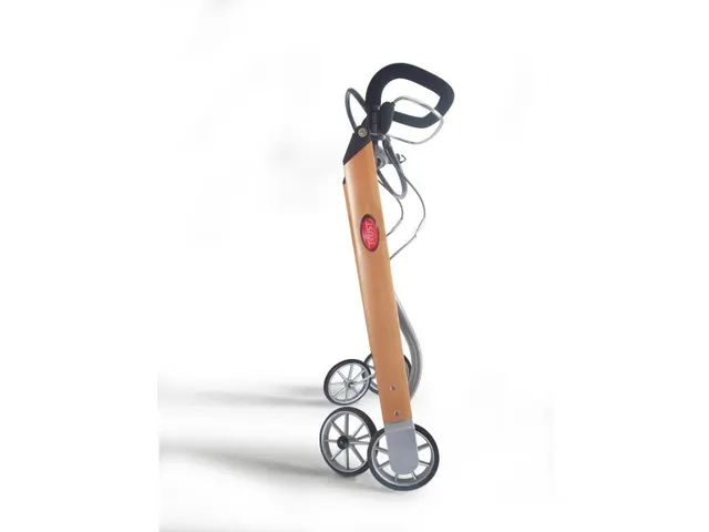 Déambulateur d'intérieur hêtre/argent Let's Go indoor pliable