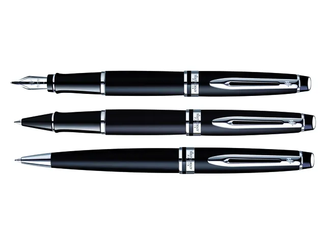 Stylo Bille Waterman Expert Noir Mat CT pointe moyenne