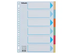 Tabbladen Esselte Premium A4 6-delig karton 23-rings assorti