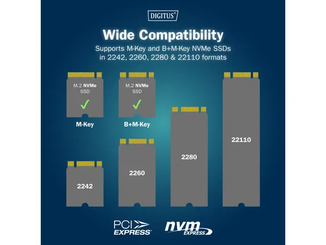 NVMe kloonstation USB3.1 Gen2 Type-C NVMe M.2 SSD behuizing