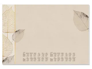 Designonderlegger Sigel Natural Leaves 27/28 59,5x41cm 30 vel 80 grams - 1