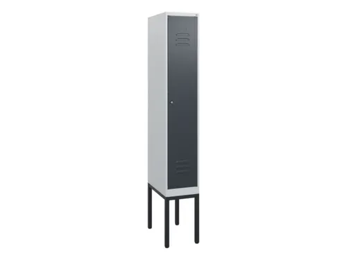 locker,HxBxD 1950x300x500mm,1vak,vak B 300mm,cil.-slot,voetonderstel