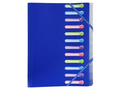 Sorteermap PP venste rs 12 vak geass.