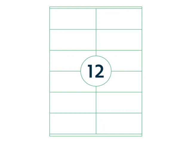 Etiketten Zelfklevend Wit 12 op A4 105x48mm 1000 Vel