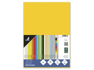 Papier Kangaro A4 120grs goudgeel pak 100 vel - 2