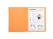 10 Dossiermappen Super 250 - 24x32cm Assorti